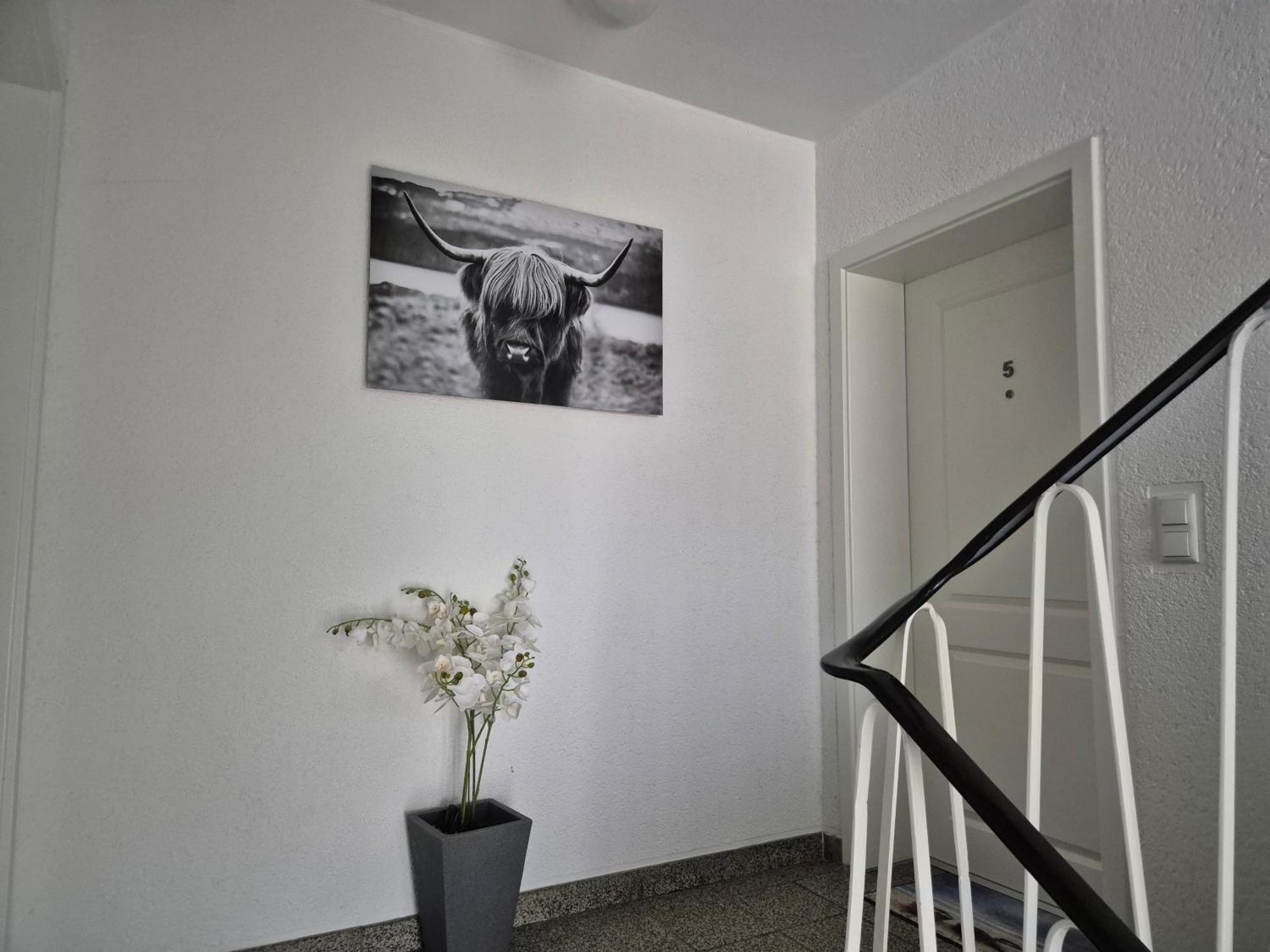 Ferienwohnungen Waldina Siegen Exterior foto